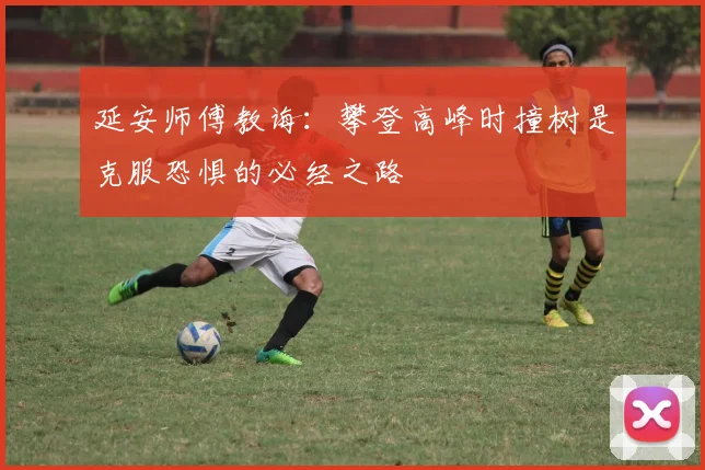 延安师傅教诲：攀登高峰时撞树是克服恐惧的必经之路