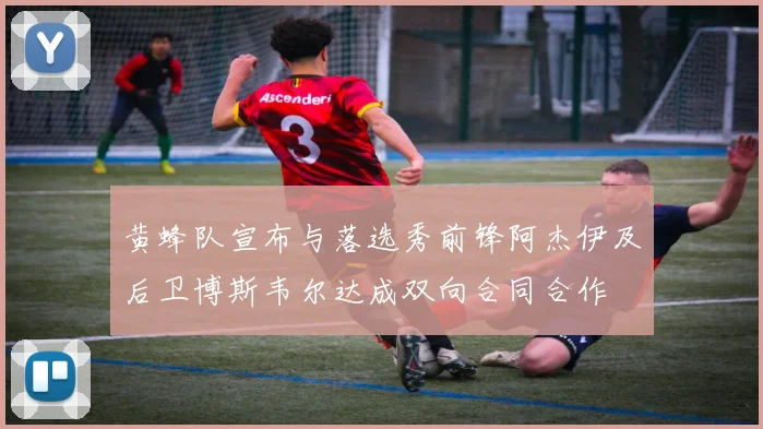 黄蜂队宣布与落选秀前锋阿杰伊及后卫博斯韦尔达成双向合同合作